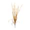Melrose; Melrose 27" Artificial Mixed Fall Grass Sprays, 6ct.; Category:Stems; Image:4